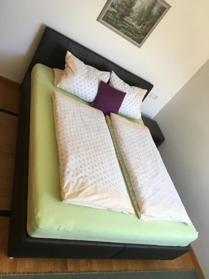 Apartment Kaprun نيدرمسيل المظهر الخارجي الصورة